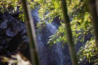 传《战地2042》首批内容补丁12月7日上线