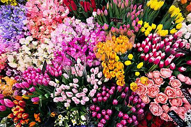 2D平台动作冒险解谜游戏《三相奇谈》现已推出试玩Demo 1月14日正式发售